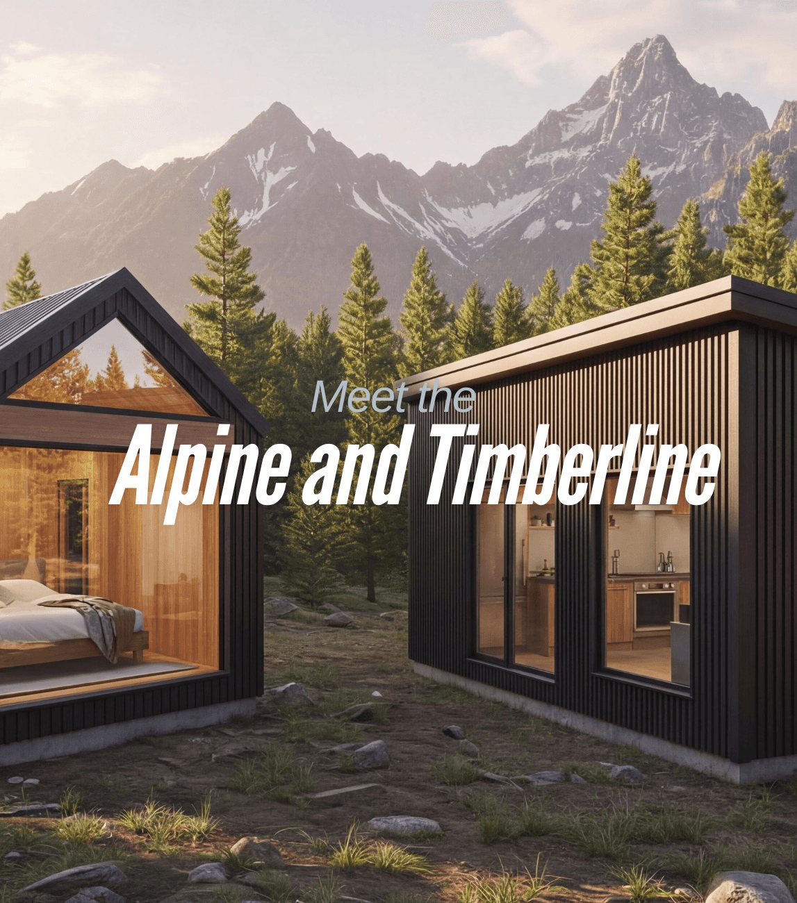 Meet the Alpine and Timberline